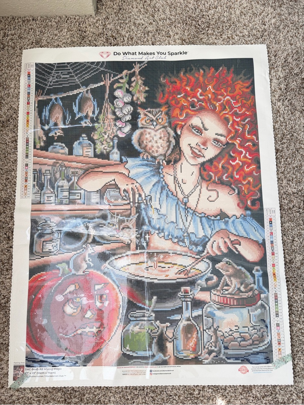 Mixing Magic By Christine Karron - Diamond Art Club - READ - Partially Started